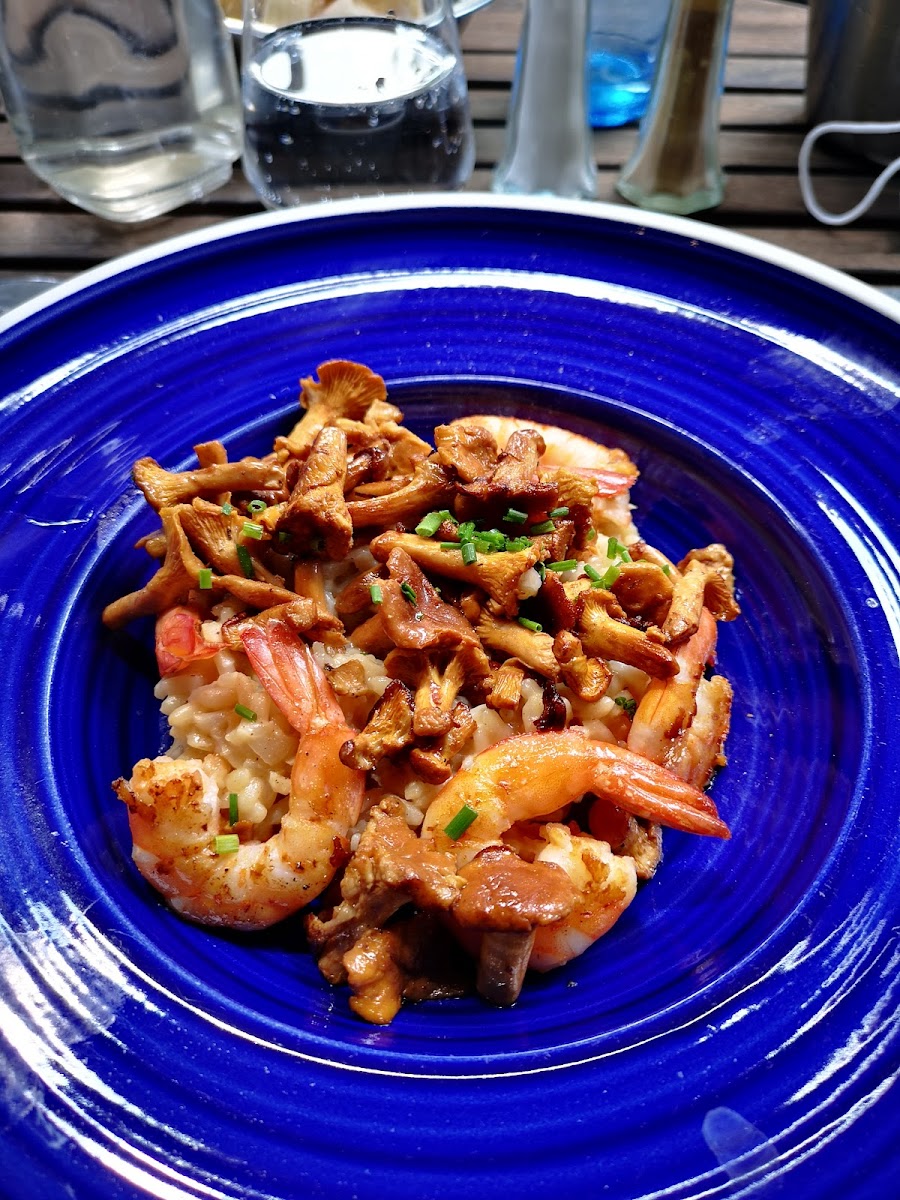 Les Trois Dauphins-10